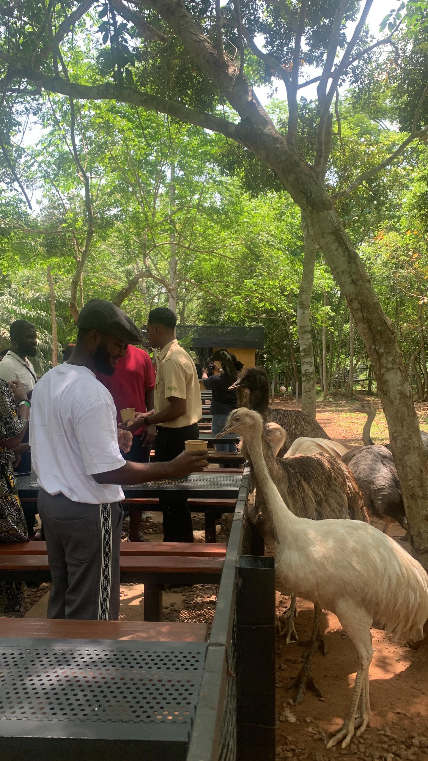 whatsapp image 2026 03 31 at 9.09.45