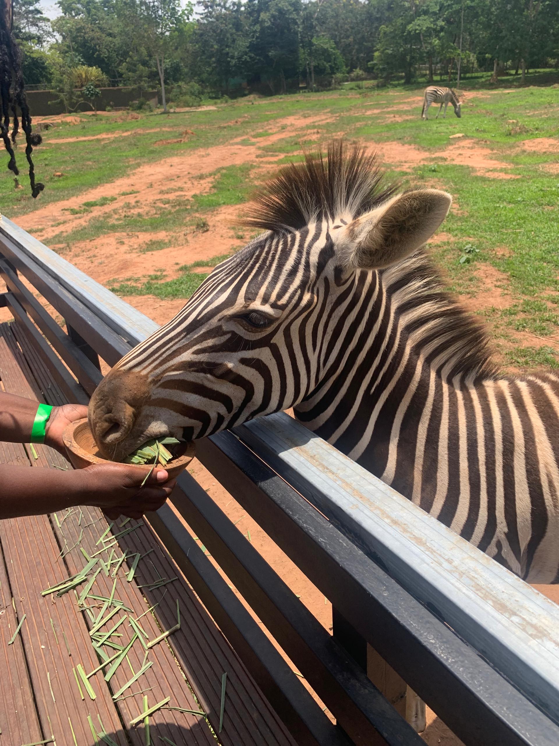 whatsapp image 2026 03 31 at 9.09.45 a