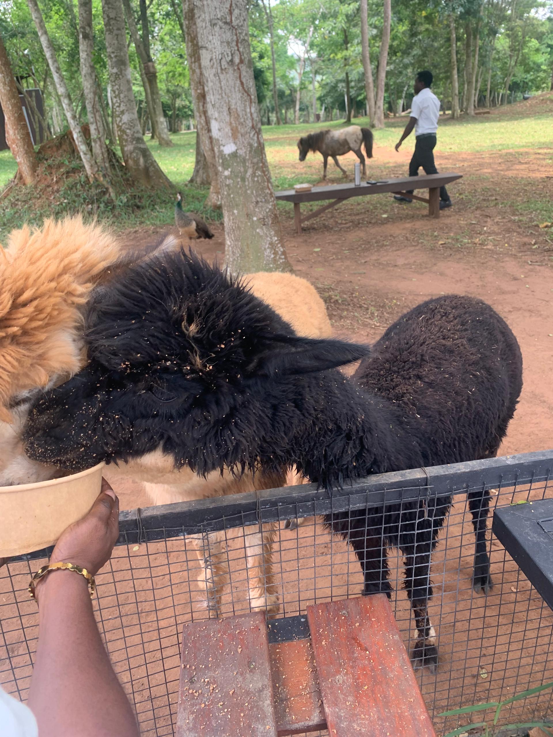 whatsapp image 2026 03 31 at 9.09.45 am